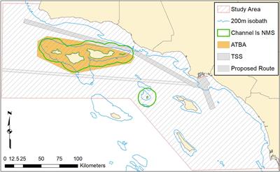 Modeling Whale Deaths From Vessel Strikes to Reduce the Risk of Fatality to Endangered Whales